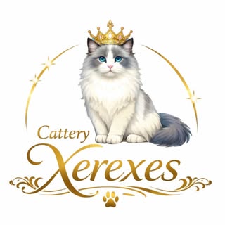 Xerexes Cattery